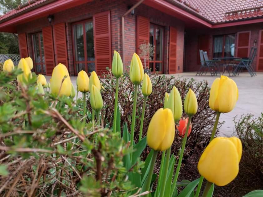 Port Jeziorak Bed & Breakfast อิวาวา ภายนอก รูปภาพ